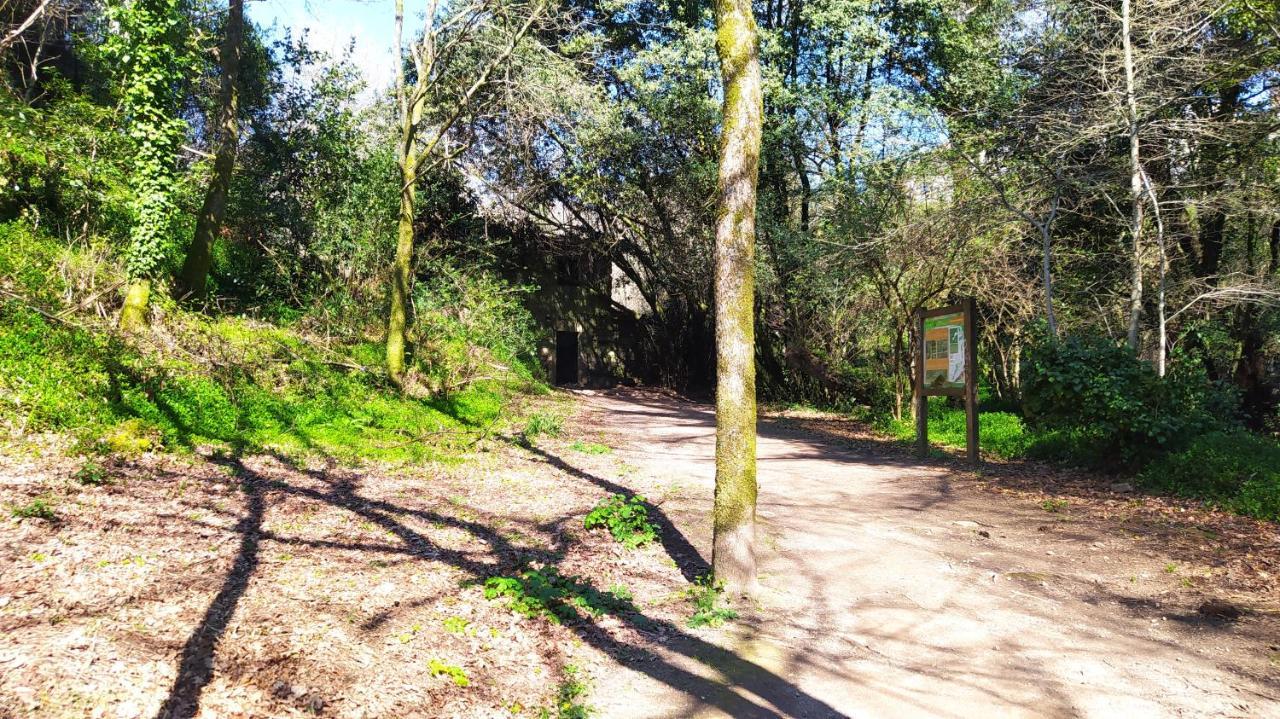 فيلا Wasi Compostela سانتياغو دي كومبوستيلا المظهر الخارجي الصورة
